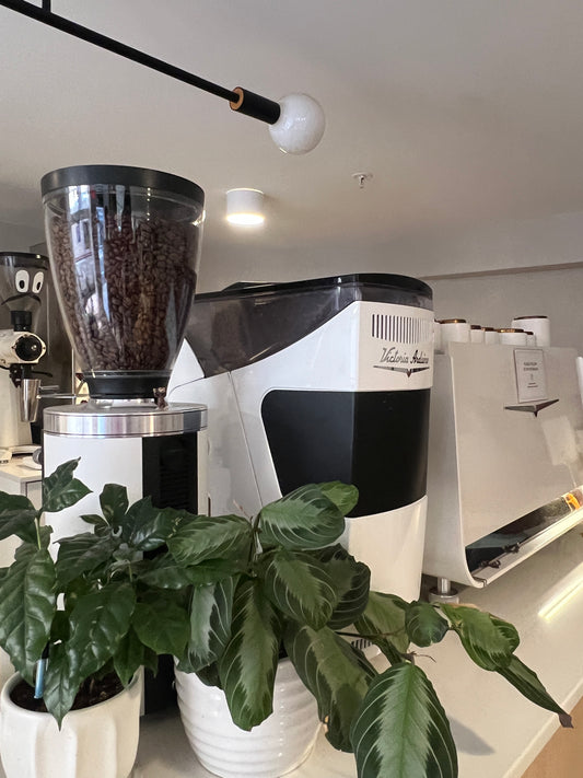 Nothing Special Training Dept. by konchience: Marathon Prep Week 8